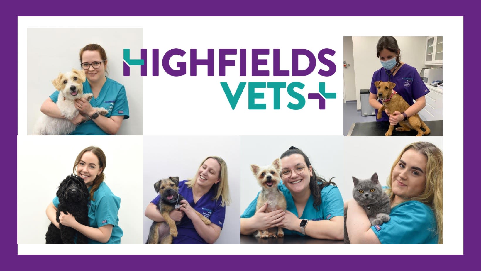 Images Highfields Vets