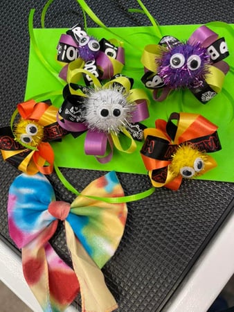 Images San Diego Grooming Academy