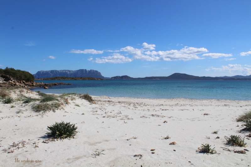 Images Giochi Gonfiabili Acquatici a Cala Banana