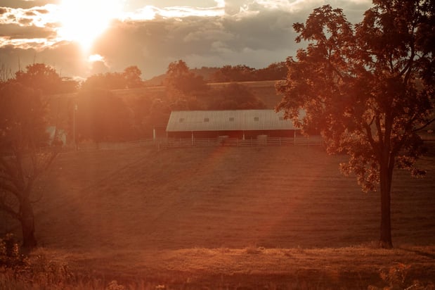Images On Sunny Slope Farm
