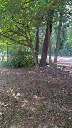 Images Art-Is-Tree, LLC