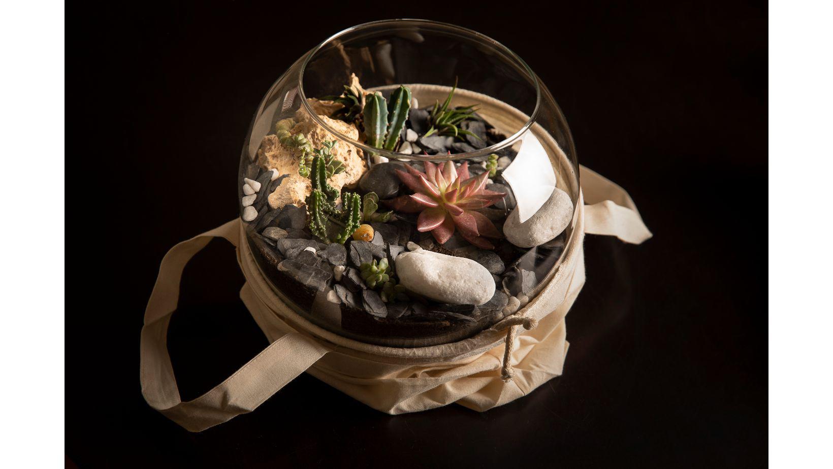 Cementiri Comarcal Roques Blanques 37