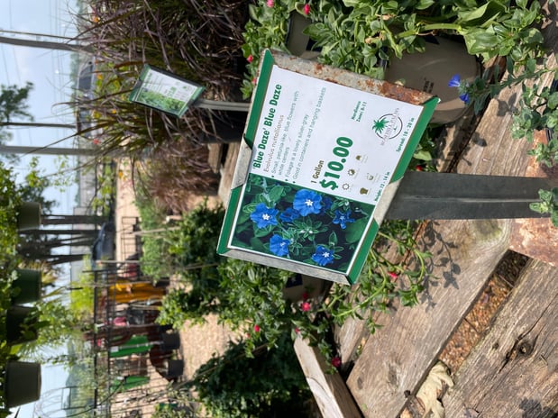 Images Rosehill Palms Landscaping & Garden Center