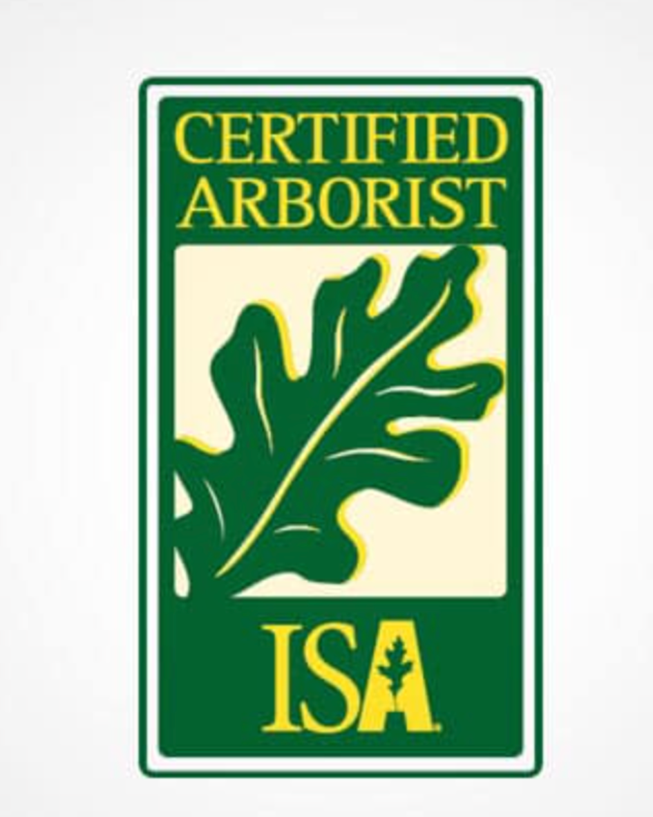 Majestic Tree Service