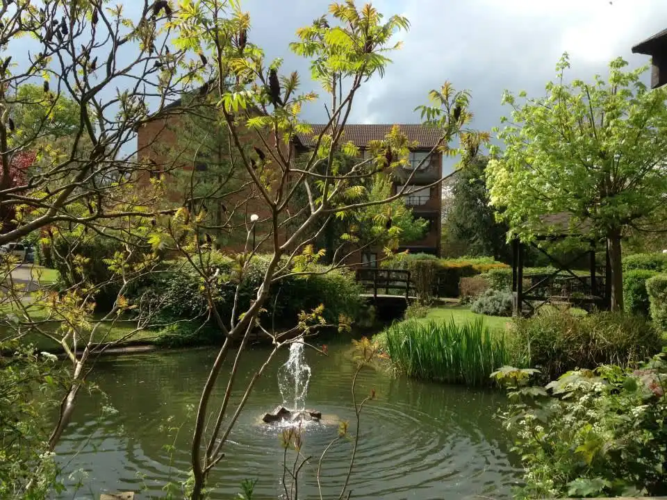 Images Aquascapes Water Feature Specialist Ltd