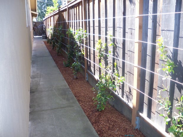 Images JC Tree Care & Landscape