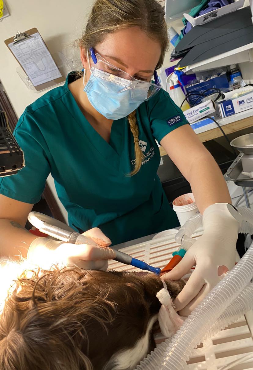Images The Animal Clinic