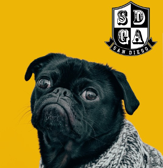 Images San Diego Grooming Academy