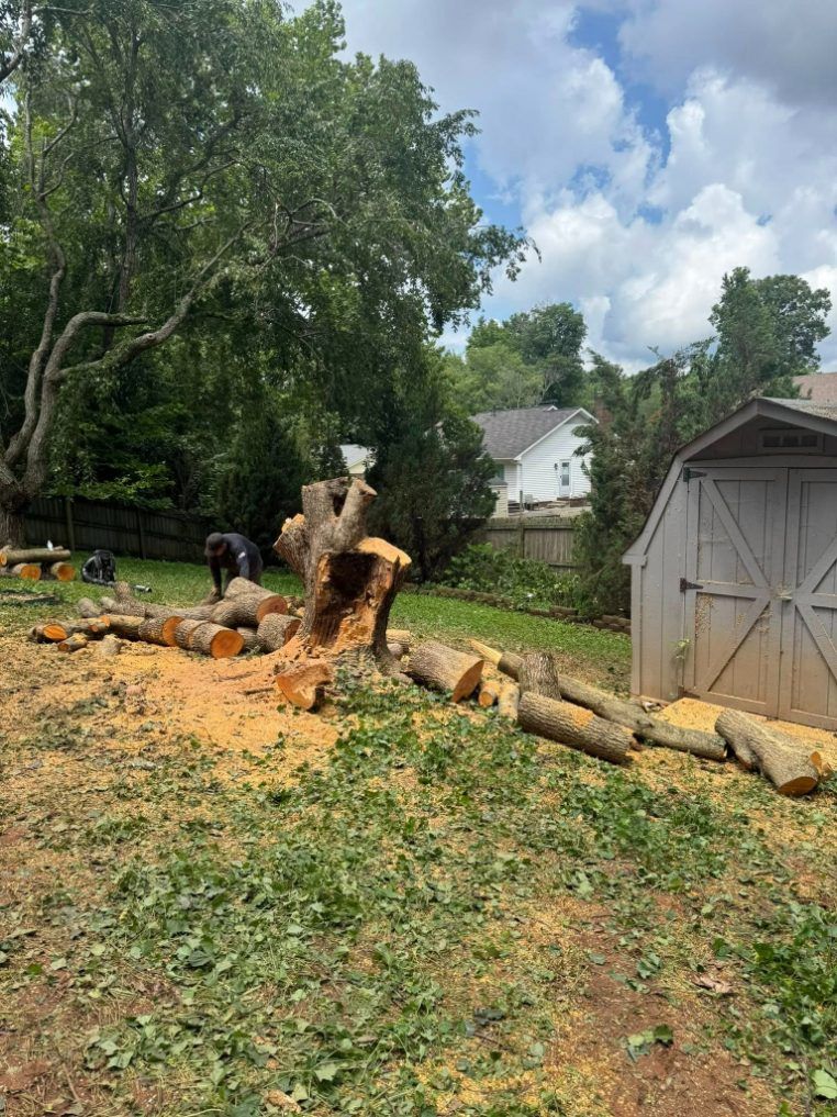 Triple A Tree Service Image