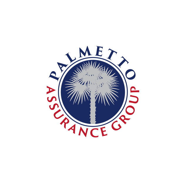 Ty Erving | Palmetto Assurance Logo