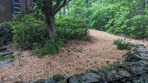 Images Continuity Landscape Services