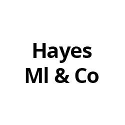 Hayes Ml & Co