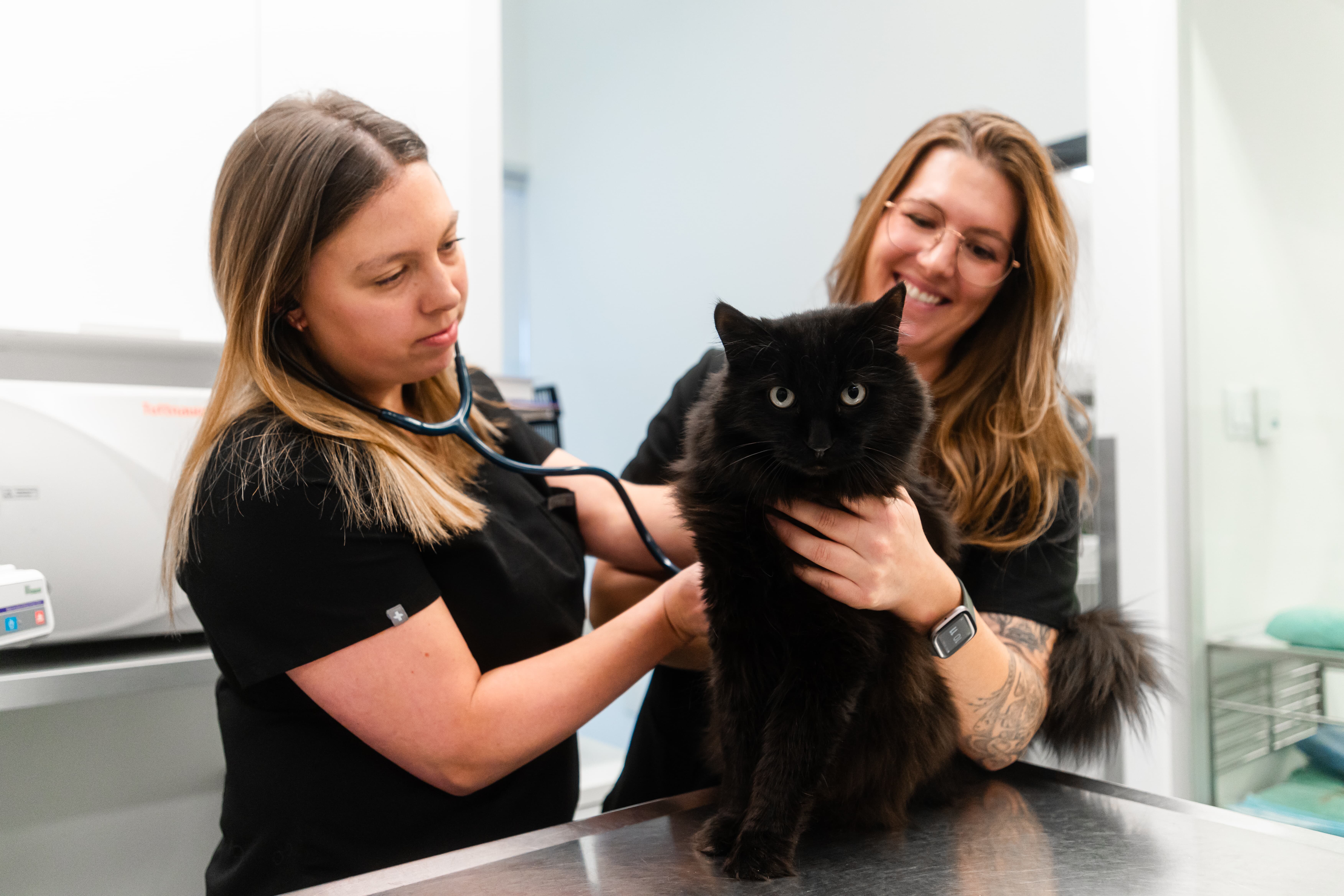 Images Clinique Vétérinaire Quartier Dix30