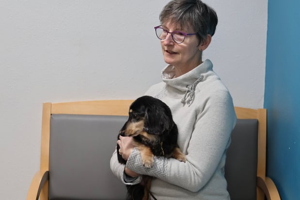 Images VCA Marshalltown Animal Hospital - CLOSED