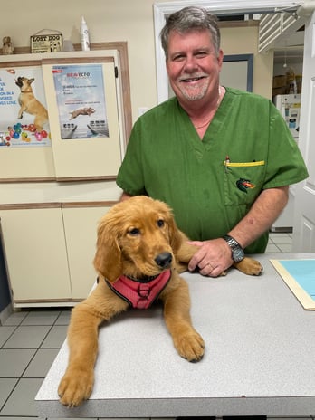 Images A Pet's Place of Clearwater
