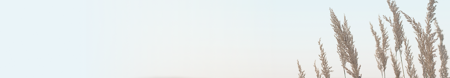 Stocks of dried grass.