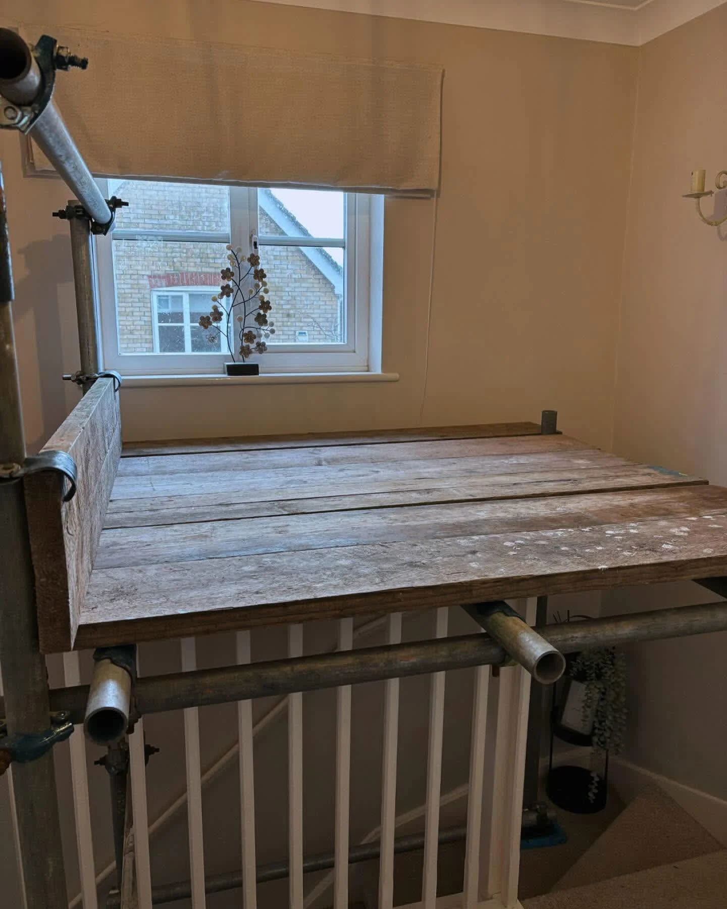 Images DGB Scaffolding