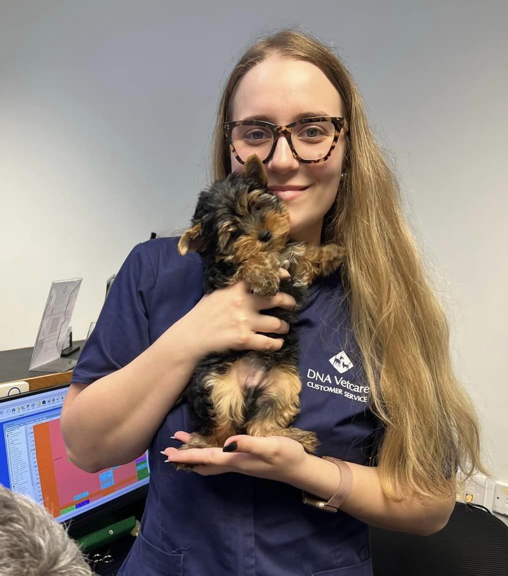 Images Streatham Hill Veterinary Surgery