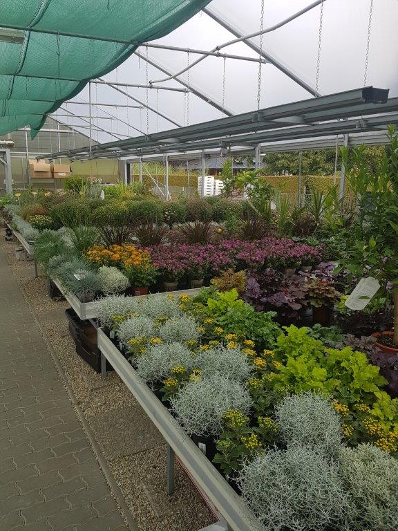 Blumen Mayer Inh. Katharina Mayer, Hauptstraße 48 in Andorf