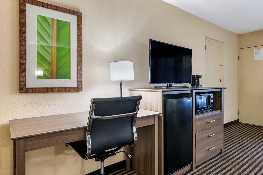 Guest room amenities carpet