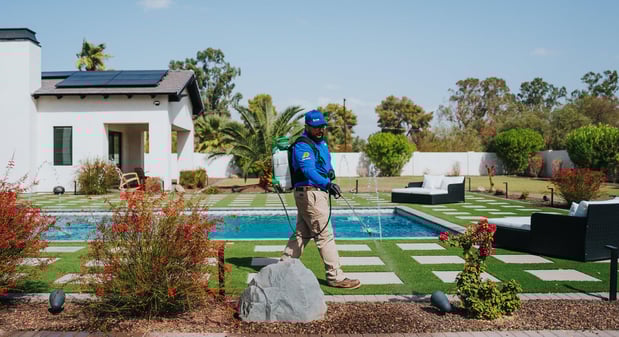 Images ACTION Termite & Pest Control