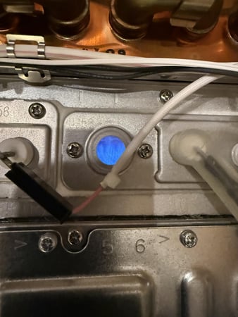 Images Texas Born Plumbing