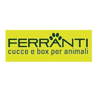 Ferranti srl Logo