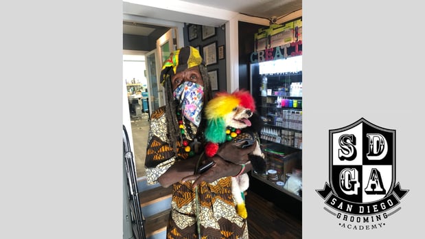 Images San Diego Grooming Academy