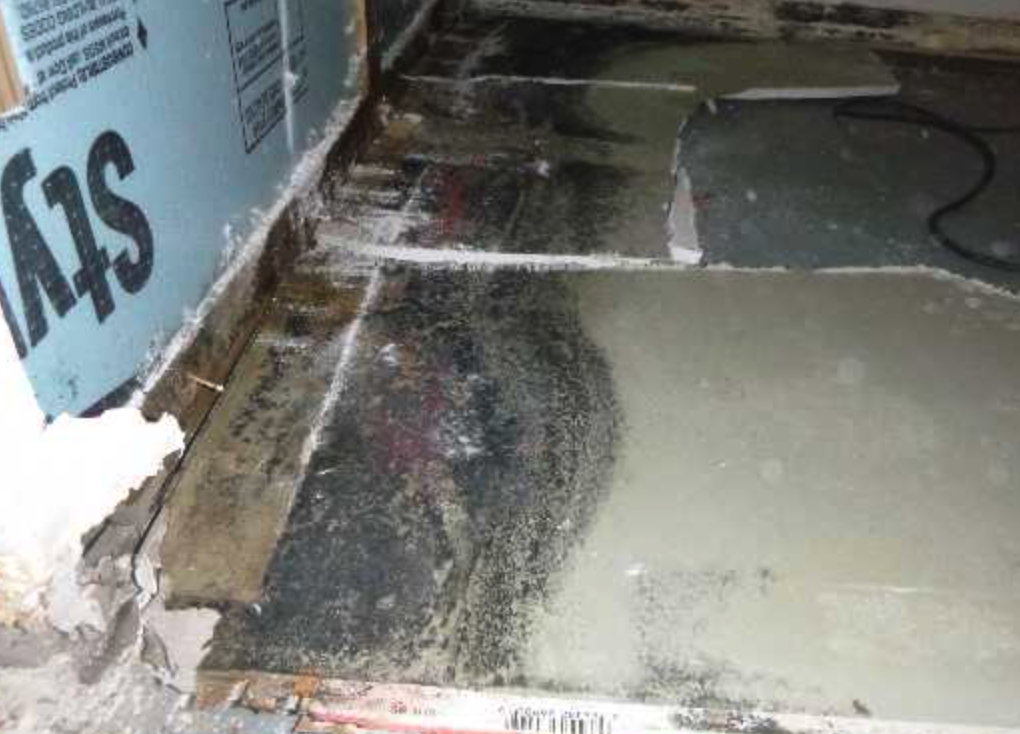 Mold Damage in Crawl Space