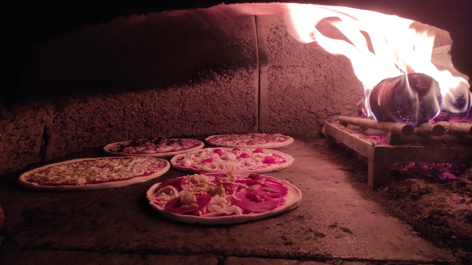 Bild 9 von Pizza Crocodiles