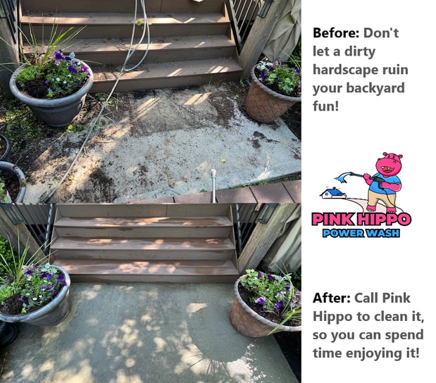 Images Pink Hippo Power Wash