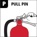 https://brand.kidde.com/m/302e69b026429fe2/DAT2-Icon_FS101_Pass1-jpg.jpg