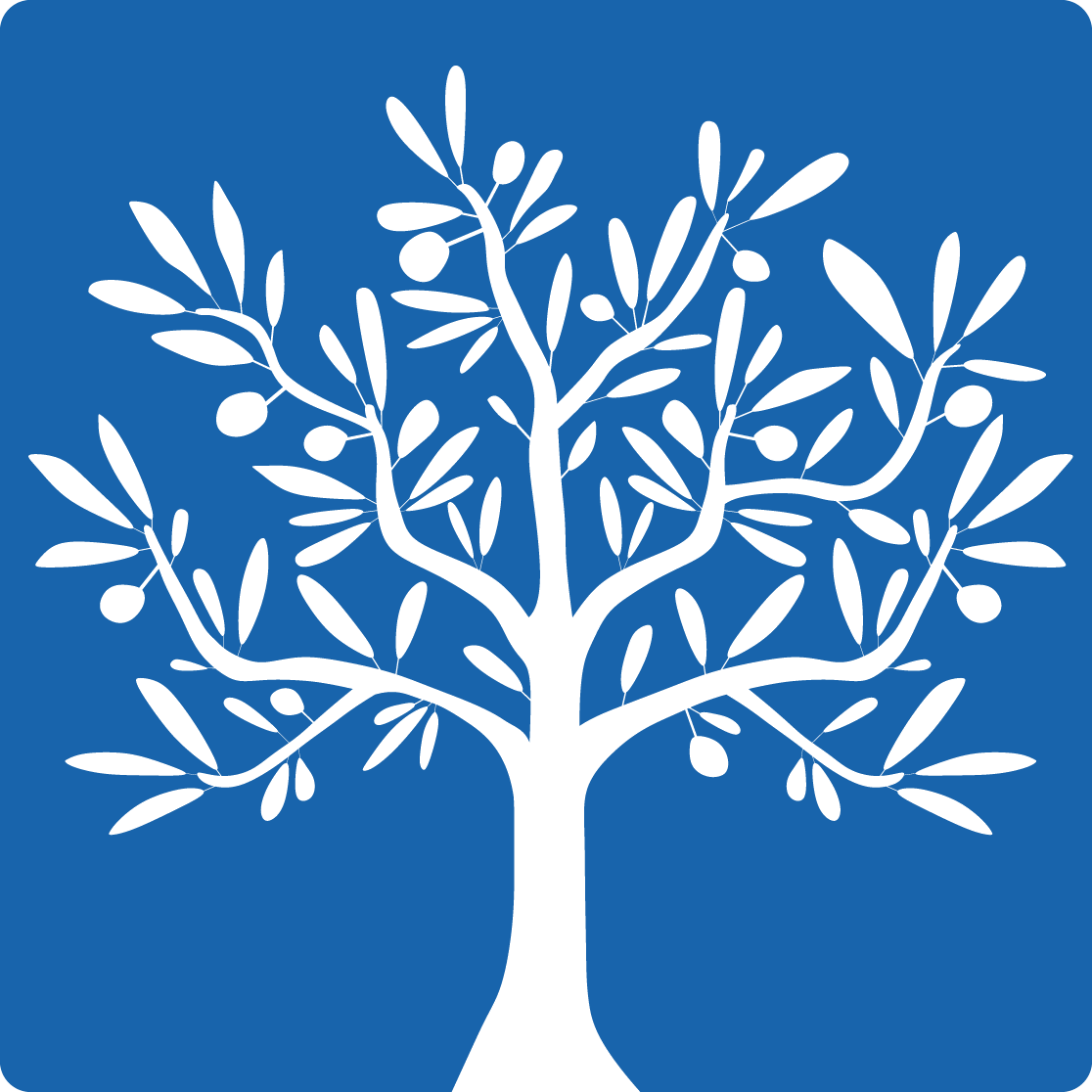 BLV Insurance Services