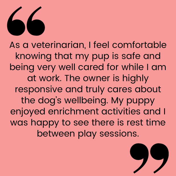 Images Posh Pet Club