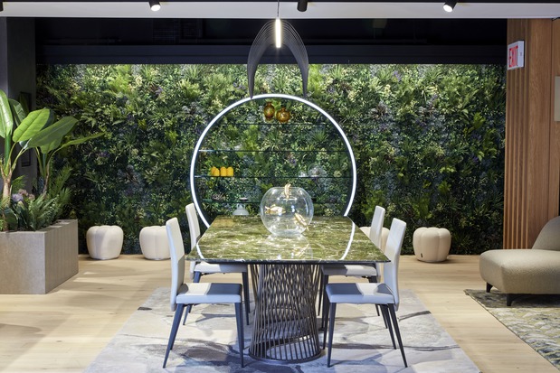 Images Roche Bobois