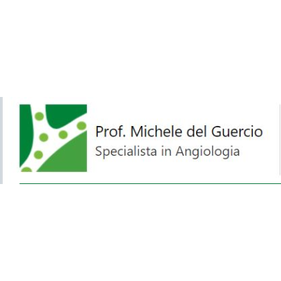 Del Guercio Prof. Dott.  Michele - Specialista  in Angiologia Logo