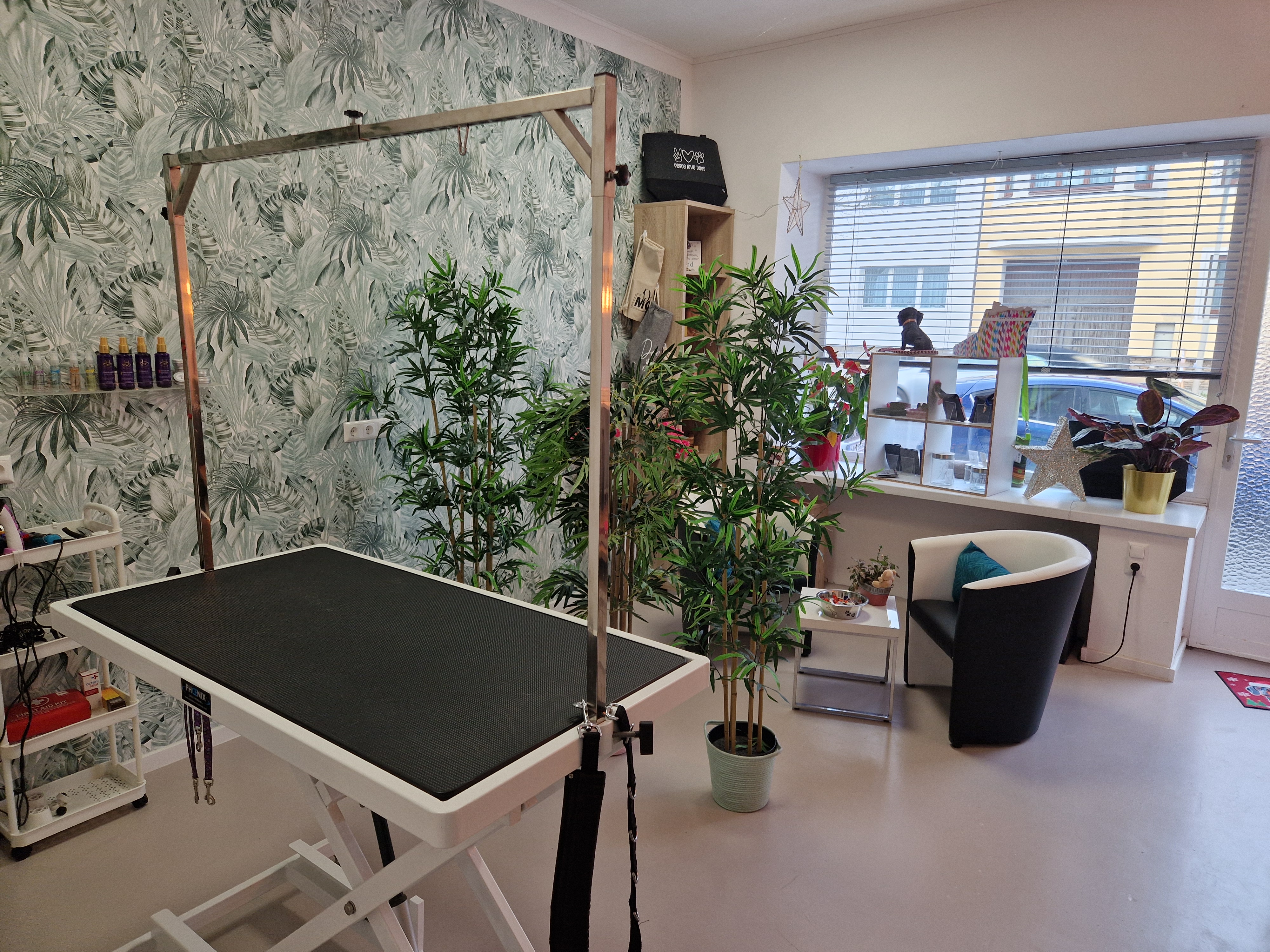 Bild 7 von Beauty-Dogs