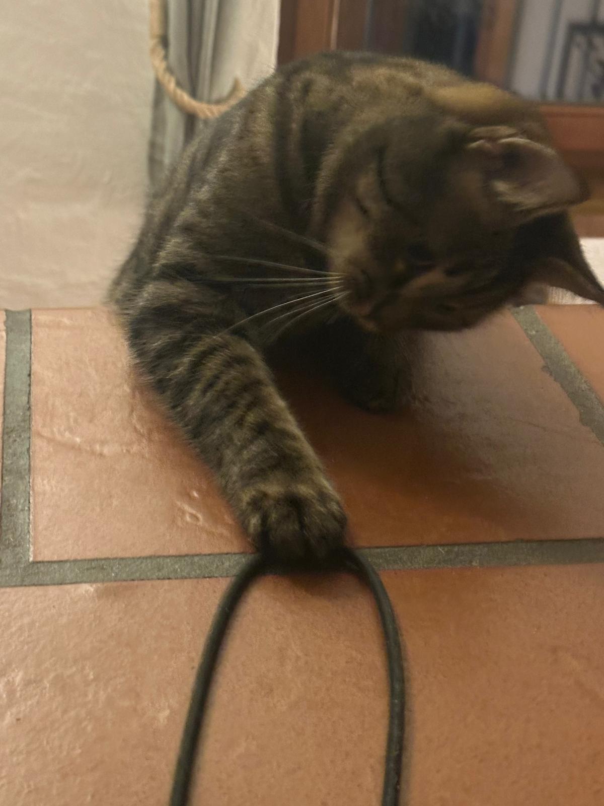 Pet-Relax, Unter Den Hollen 3 in Duggingen