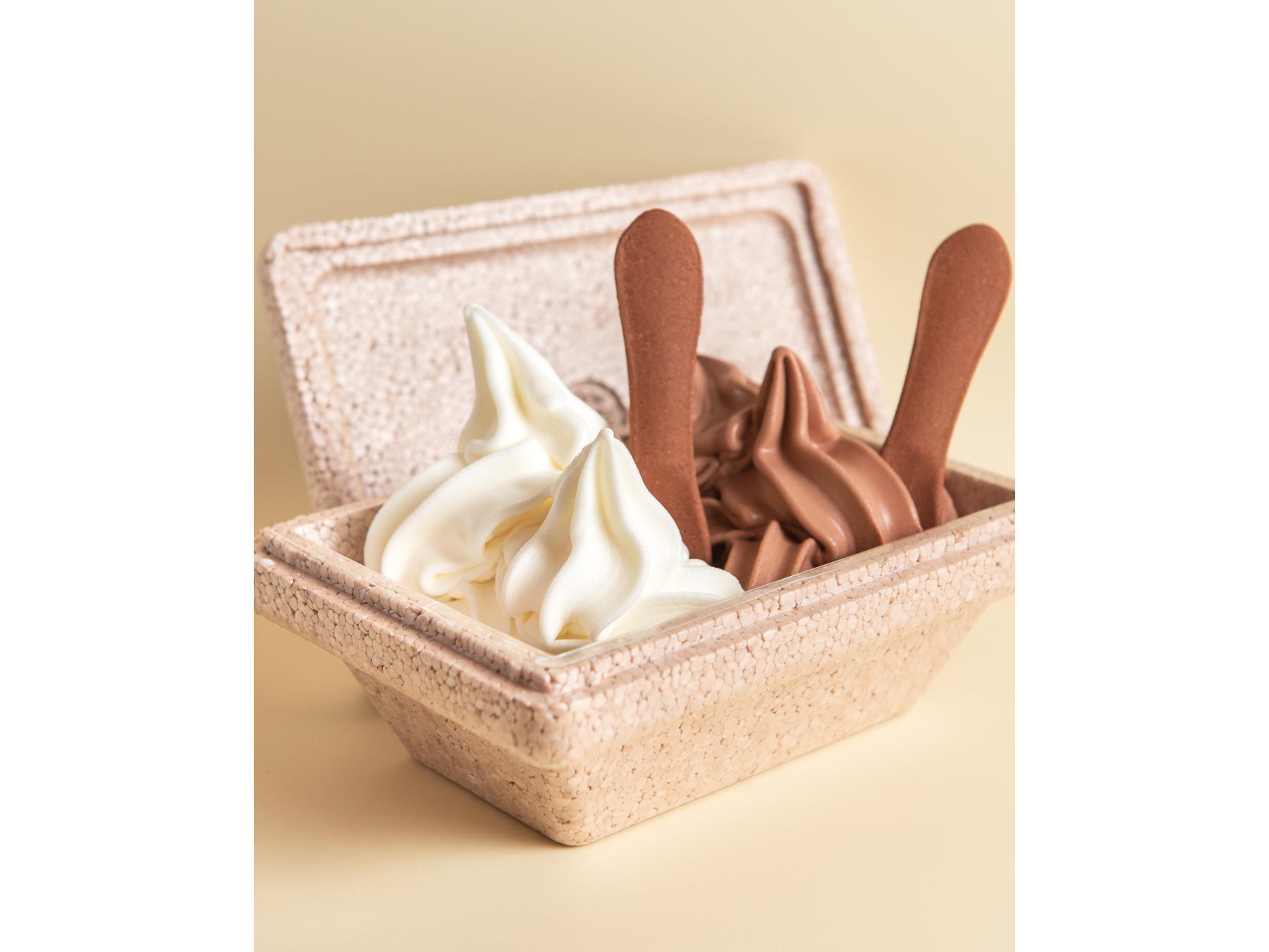 Bilder frogis frozen yogurt eis & Eggwaffle / Schokifaktur