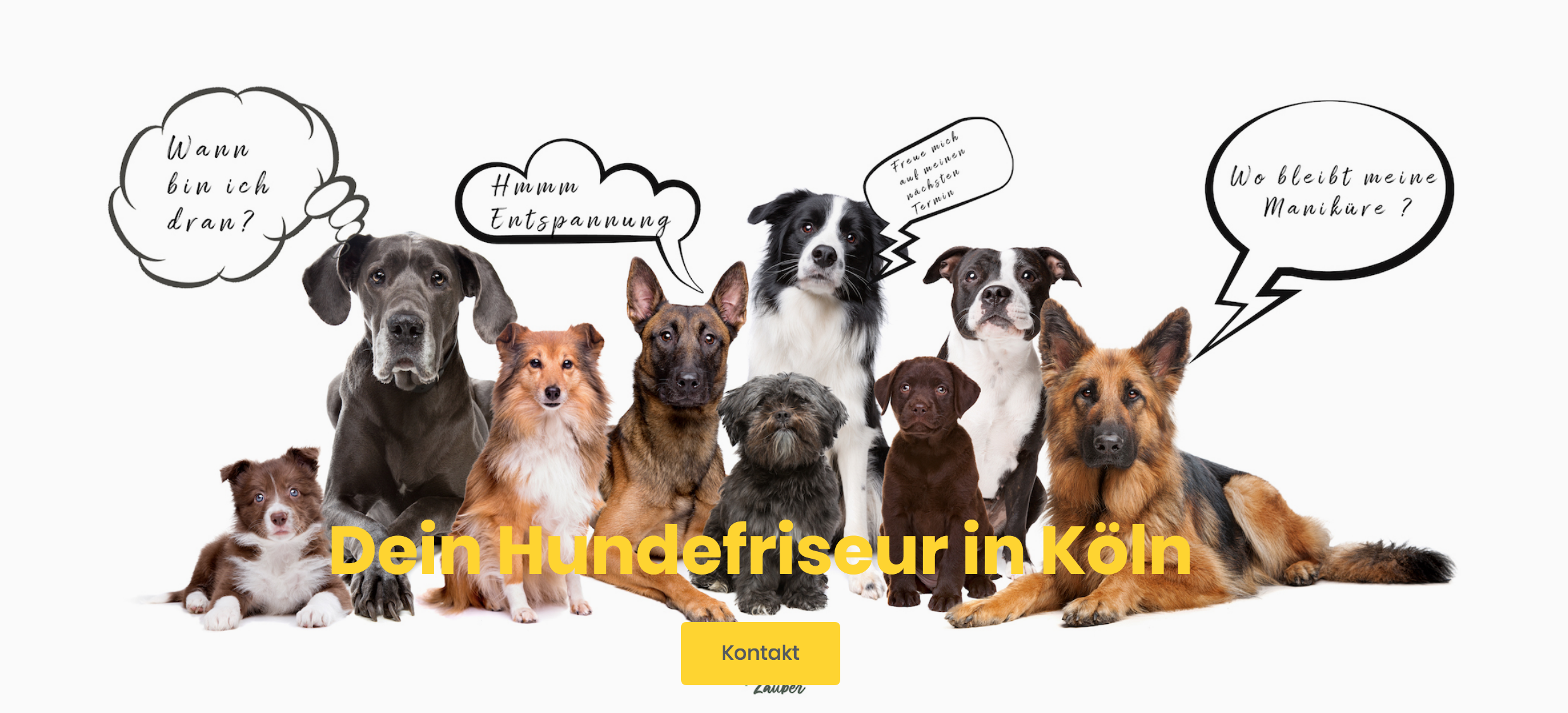 Pfotenzauber Hundefriseur - Hundesalon, Olpener Str., 248 in Köln