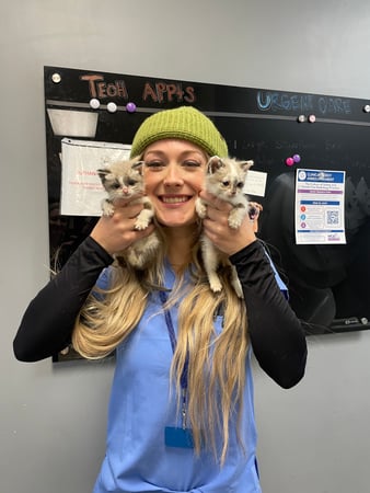 Images VCA All Pet Animal Hospital/Taylorsville