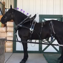 Center Peace Farm Image