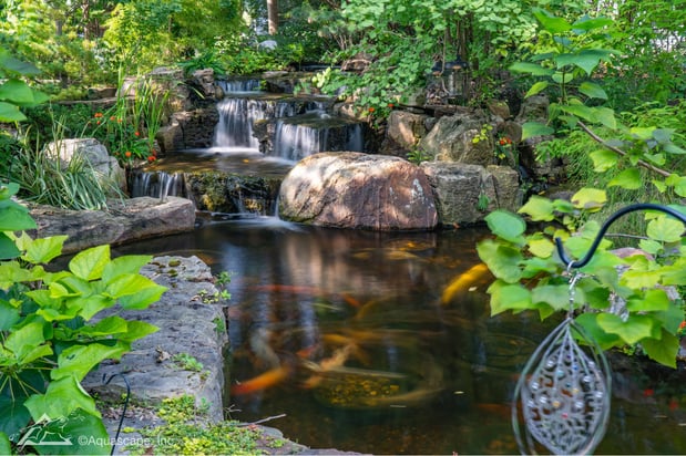 Images P Douglas Waterscapes