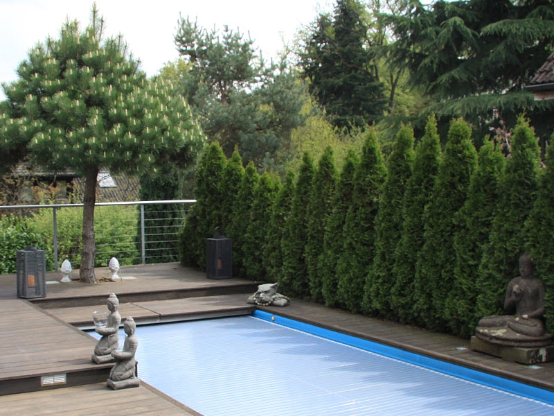 Fuchs & Höhn, Obere Bergstrasse 19 in Wädenswil