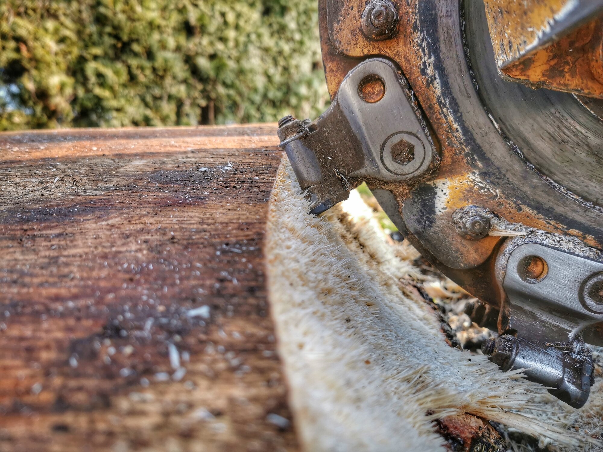 Baumstumpffräsen Tobias Baier, Mangfallstraße 16B in Bad Aibling