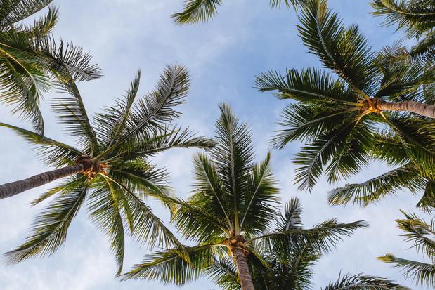 Images Sanibel Island Beach Resort