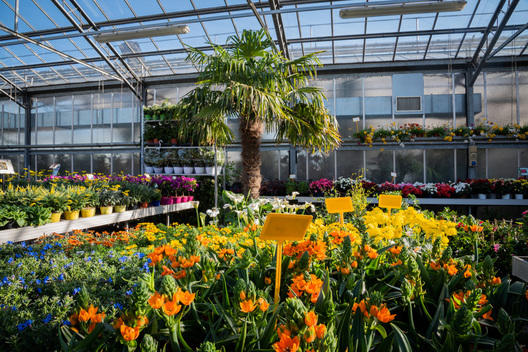 Images Azienda Agricola Florovivaista Toscogarden