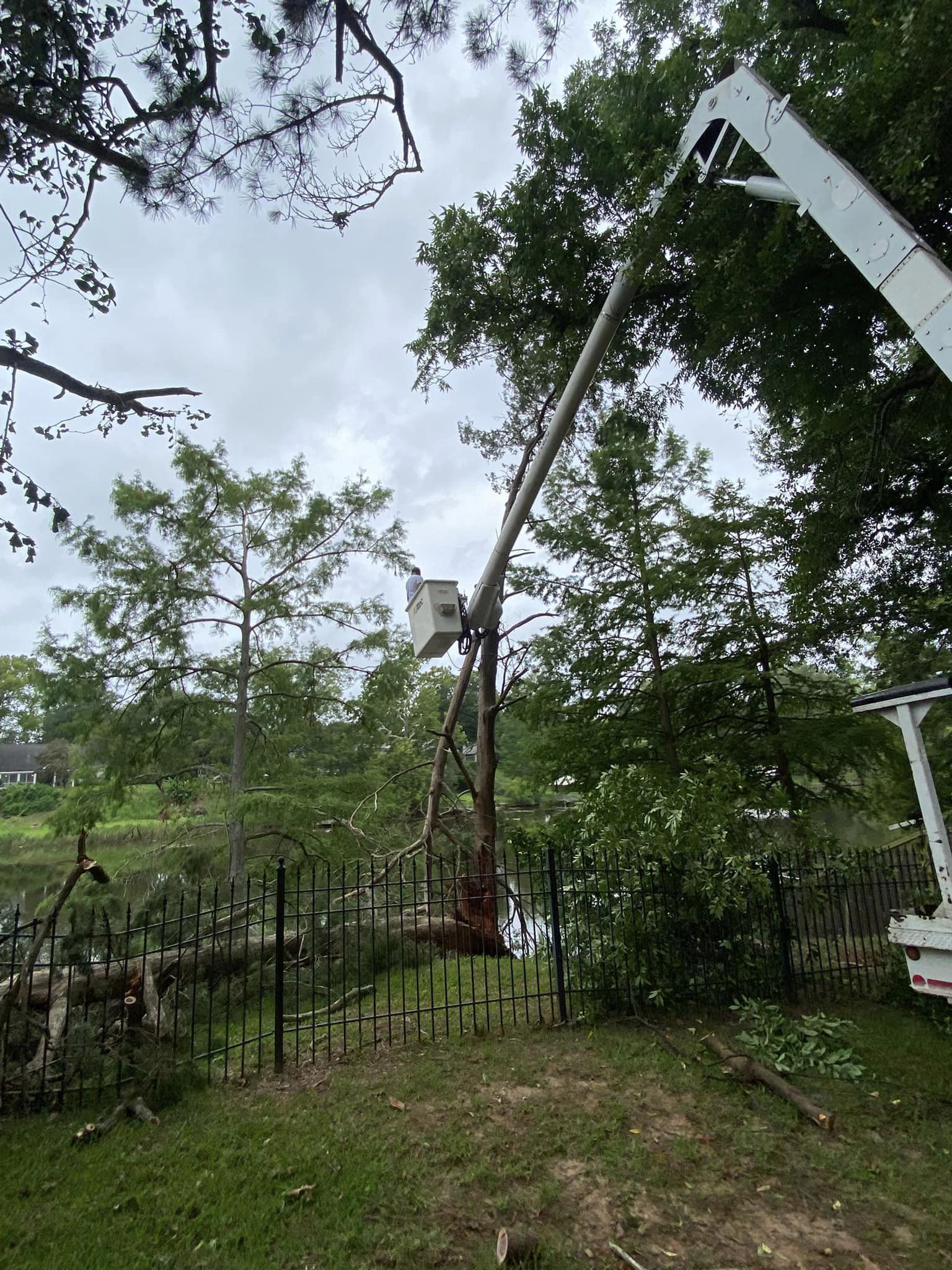 Bynog's Tree Services Image