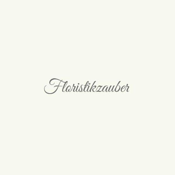 Floristikzauber Wohn & Dekozauber Logo