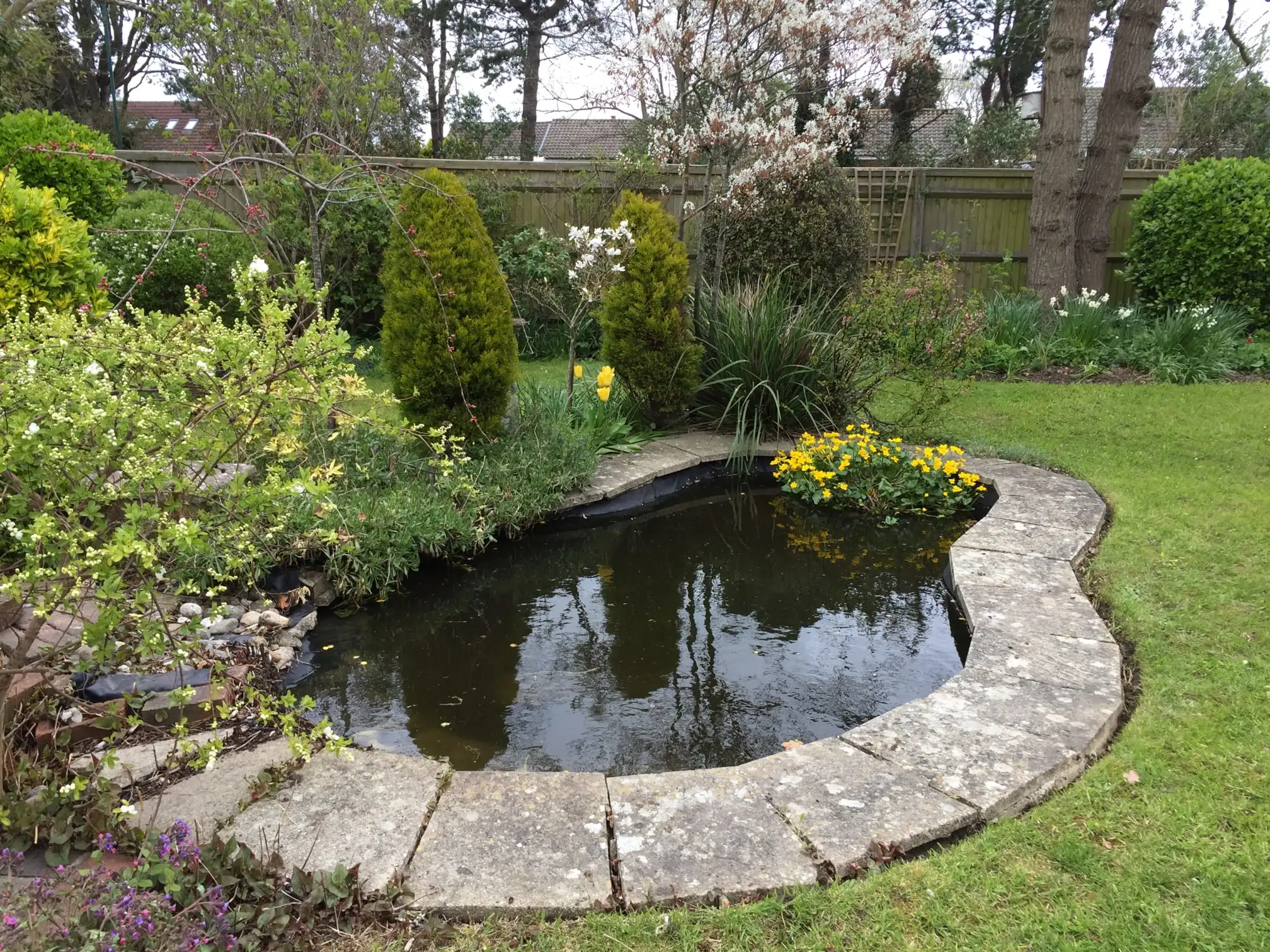 Images Glorious Ponds